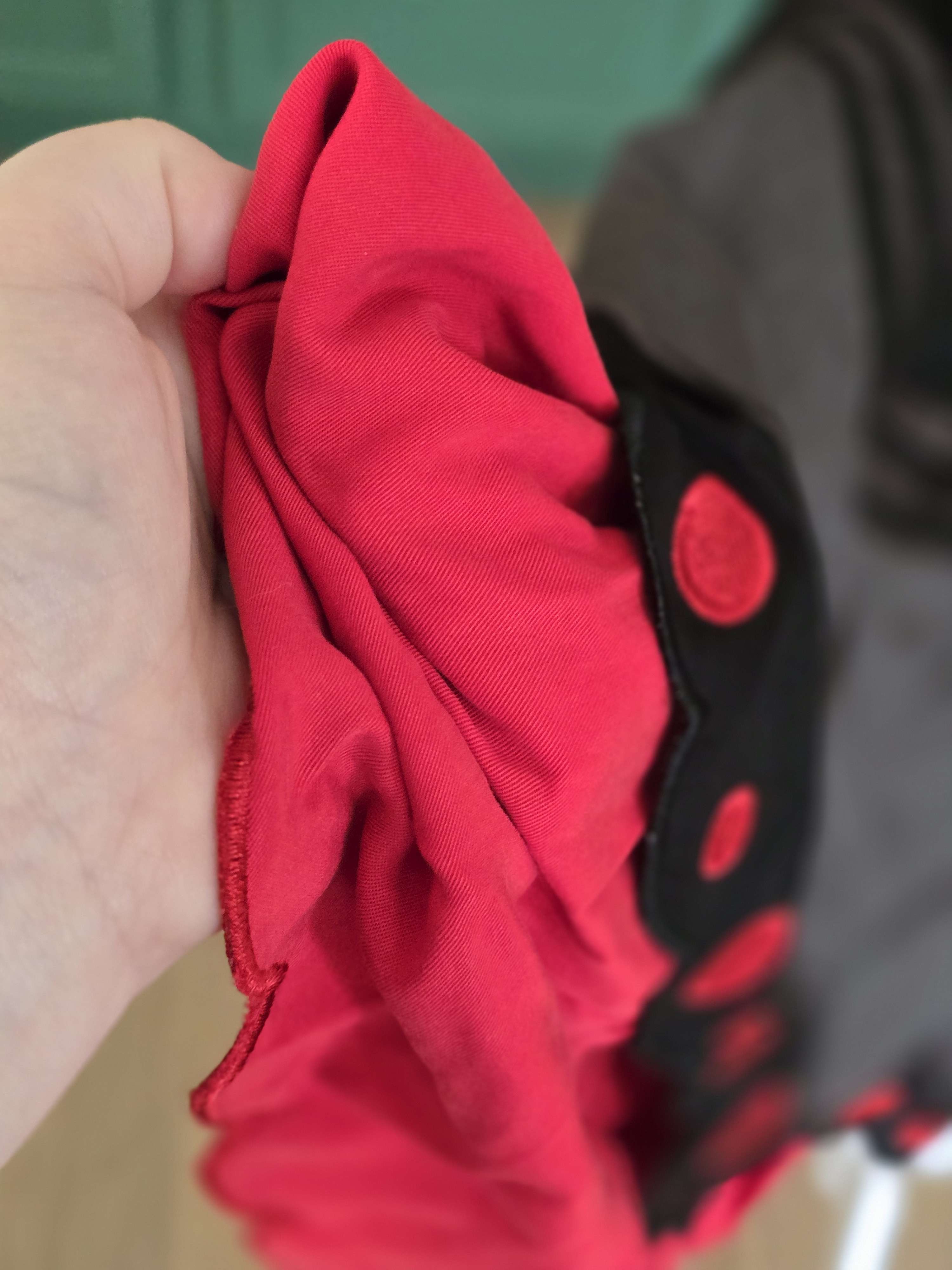 Mothman Dress (Pre-Order CLOSED) (ESD August 15th - 30th, 2026) - Image 3