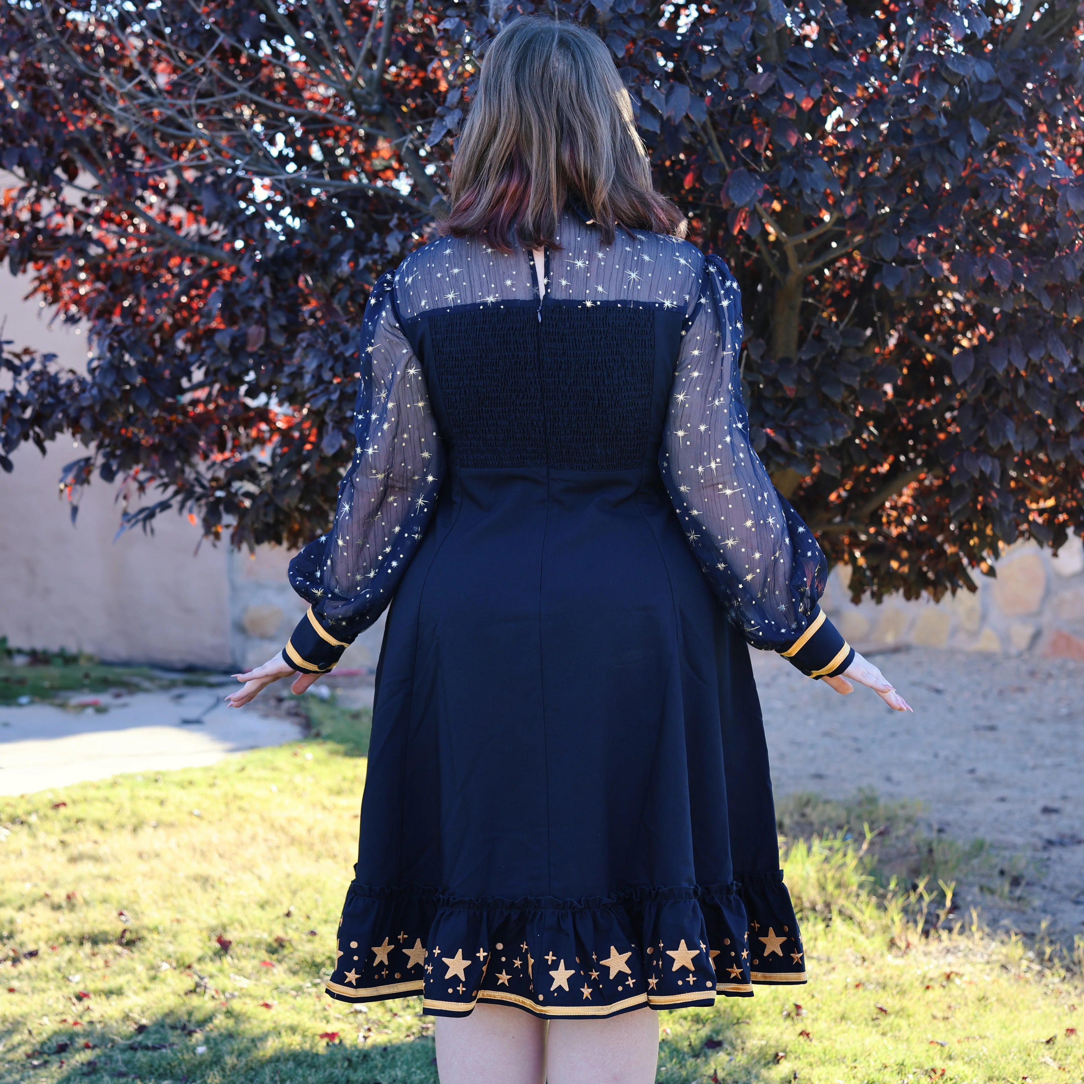 Stardust Dance Dress - Image 3