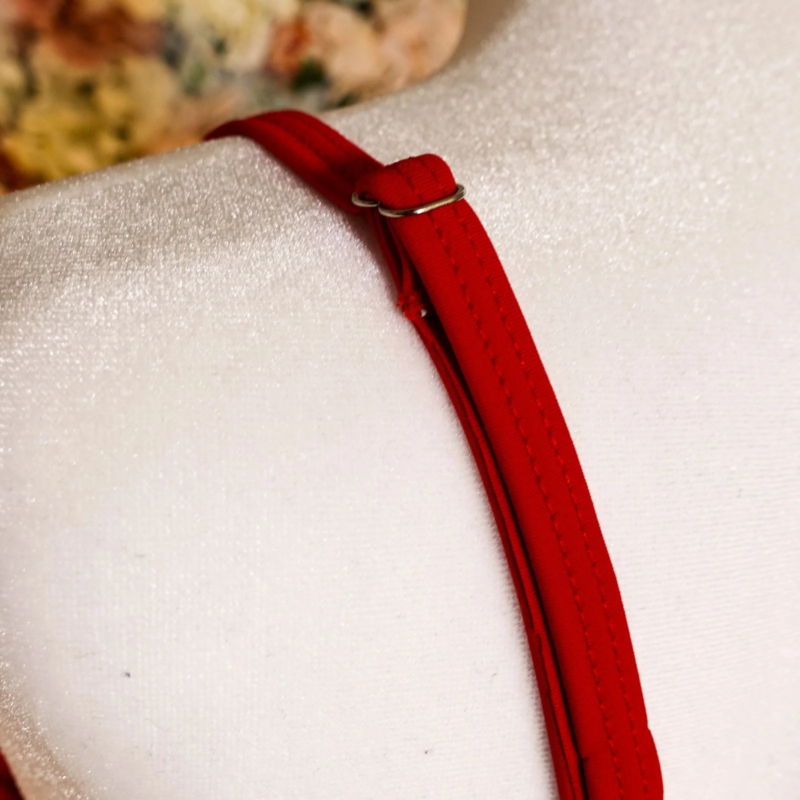 Strawberry Bikini (Full Coverage) - Image 7